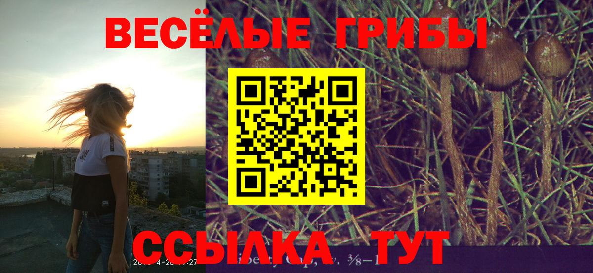 Великий Устюг  Псилоцибиновые грибы мухоморы  Вход с VPN  Псилоцибиновые грибы Psilocybine cubensis 